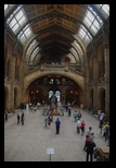 Londra -iunie-2014 - Bogdan Balaban